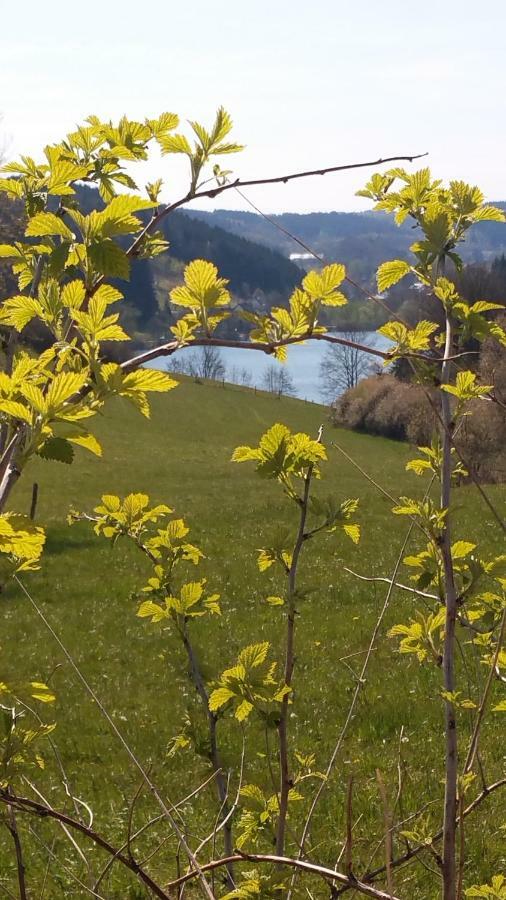 Ferienhaus " Silly " Am Schoenen Listersee 마이너차겐 외부 사진